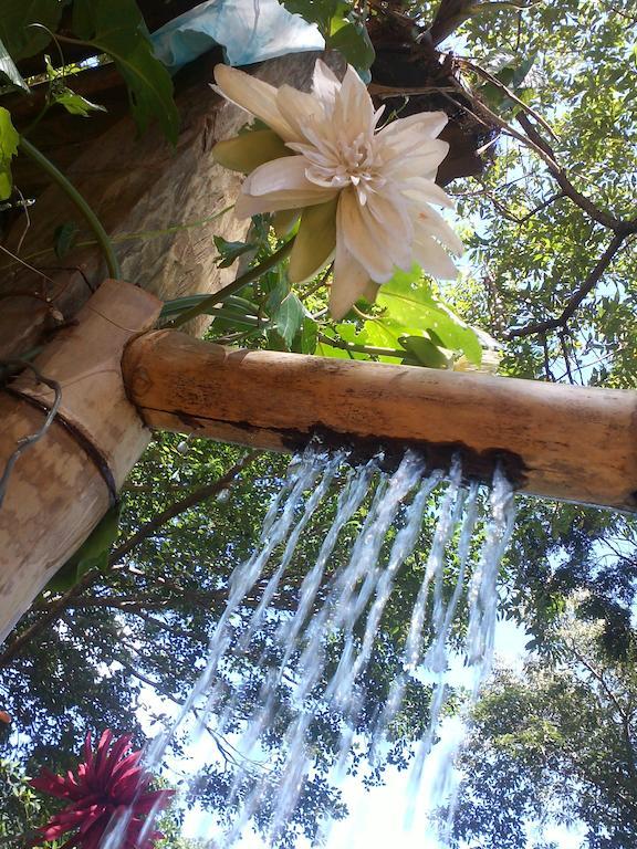 Panorâmica Bed & Breakfast Ilhabela Exterior foto